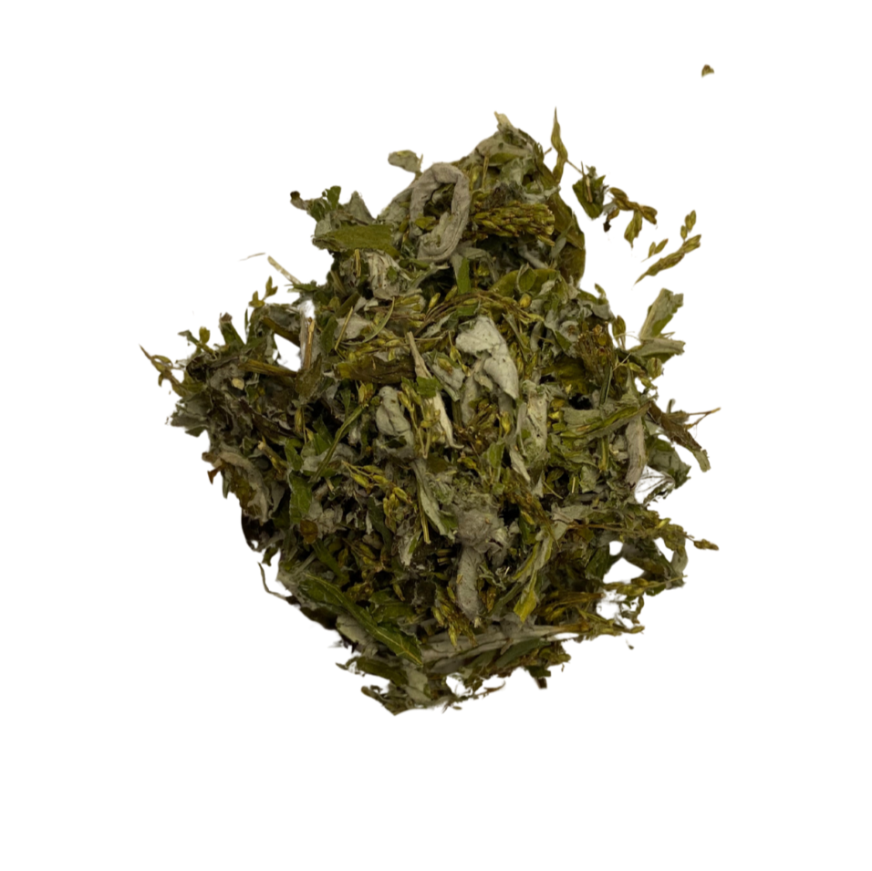 Coastal Mugwort Smoke Medicine