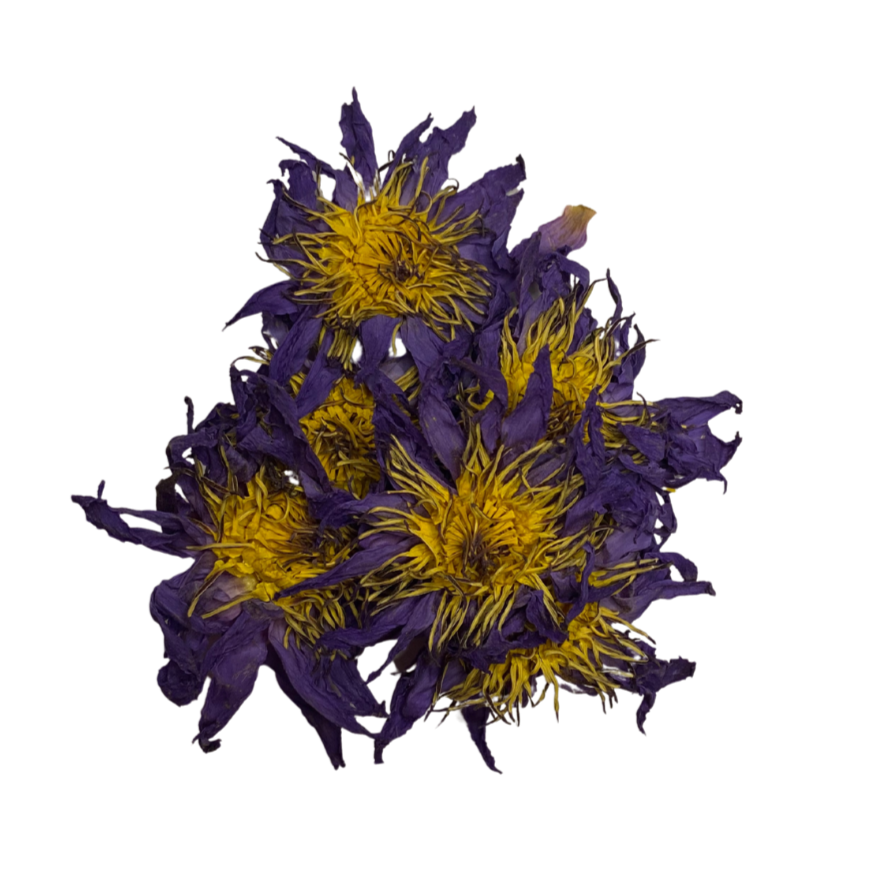 Blue Lotus Smoke Medicine