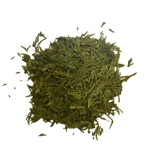 Western Red Cedar Smoke Medicine