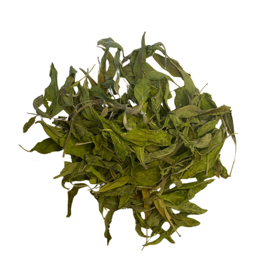 Garden Sage Smoke Medicine