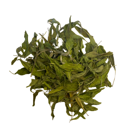 Garden Sage Smoke Medicine